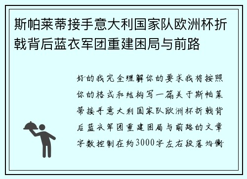 斯帕莱蒂接手意大利国家队欧洲杯折戟背后蓝衣军团重建困局与前路